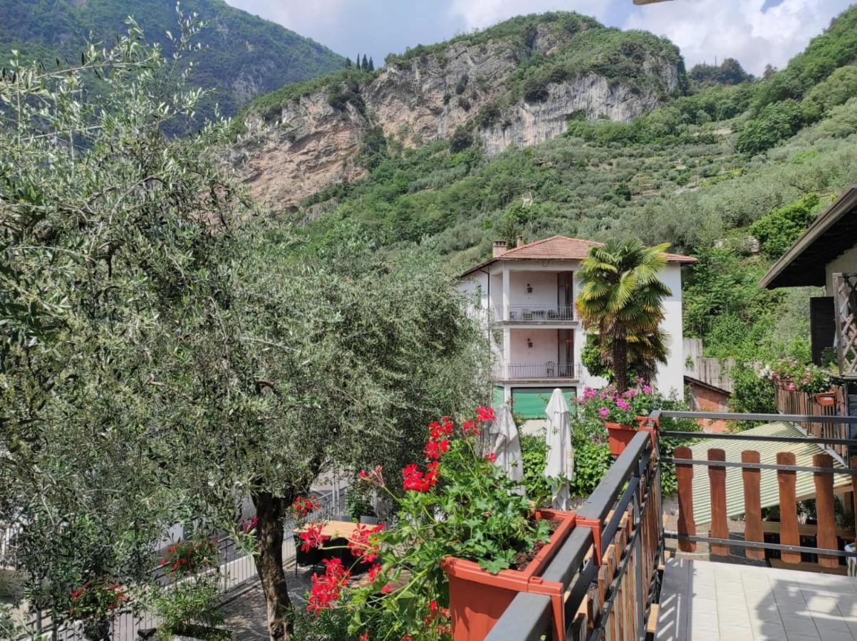 טנו Albergo Stella D'Italia מראה חיצוני תמונה